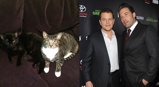 Illustration for article titled Meet Jezebel's Pets and Their Celebrity Lookalikes!